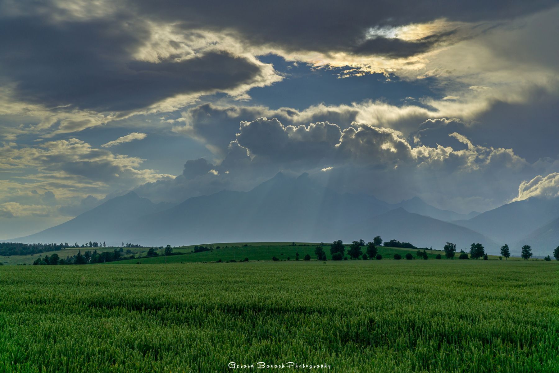 DSC5930-Edit-2