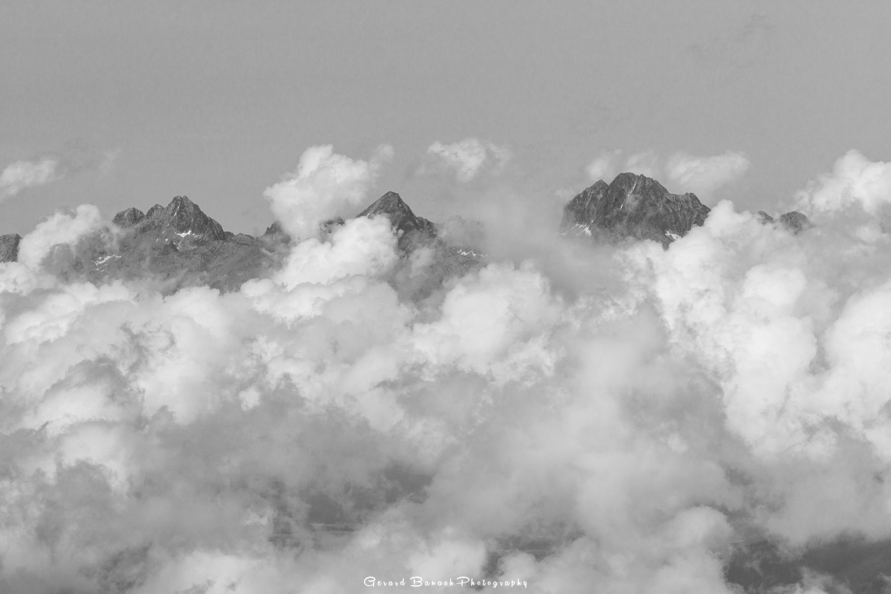 DSC6246-2