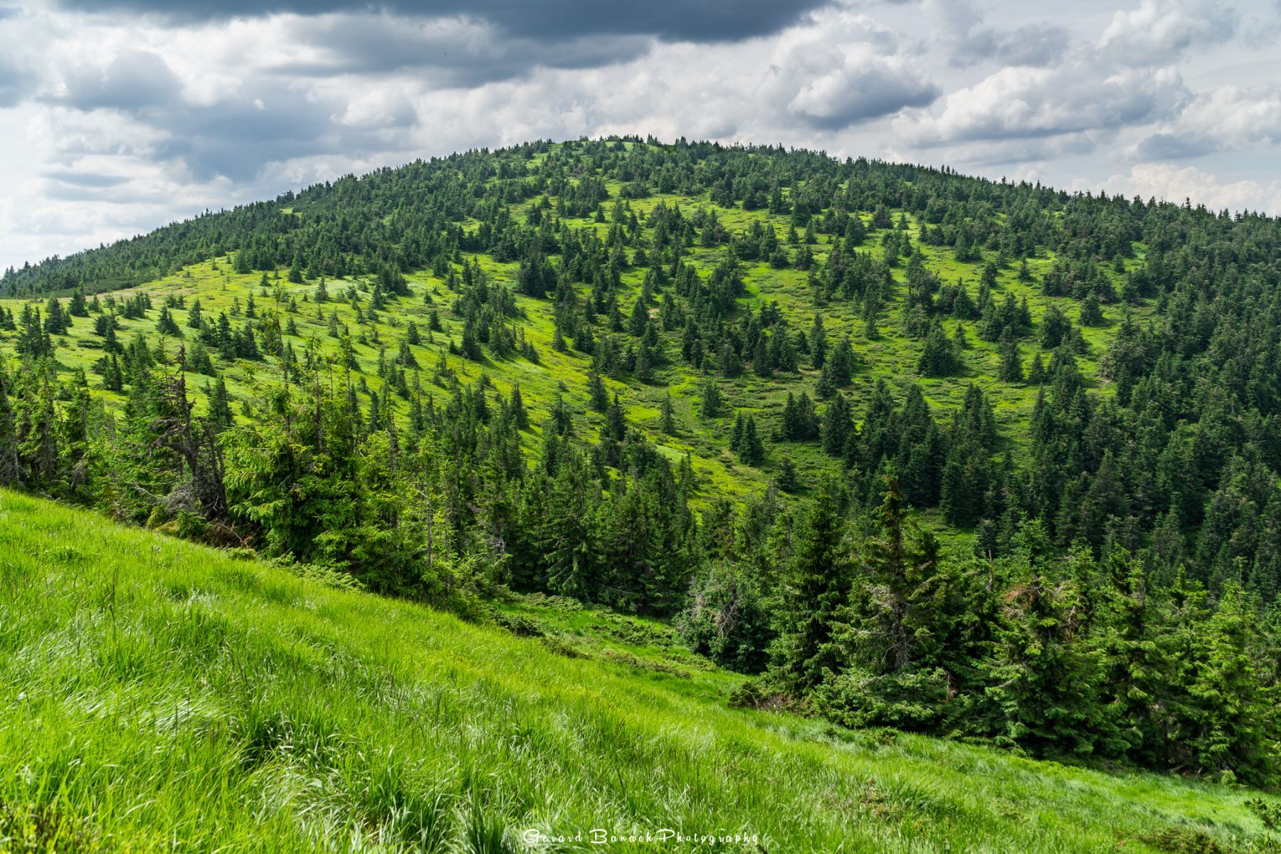 DSC6511-HDR-2