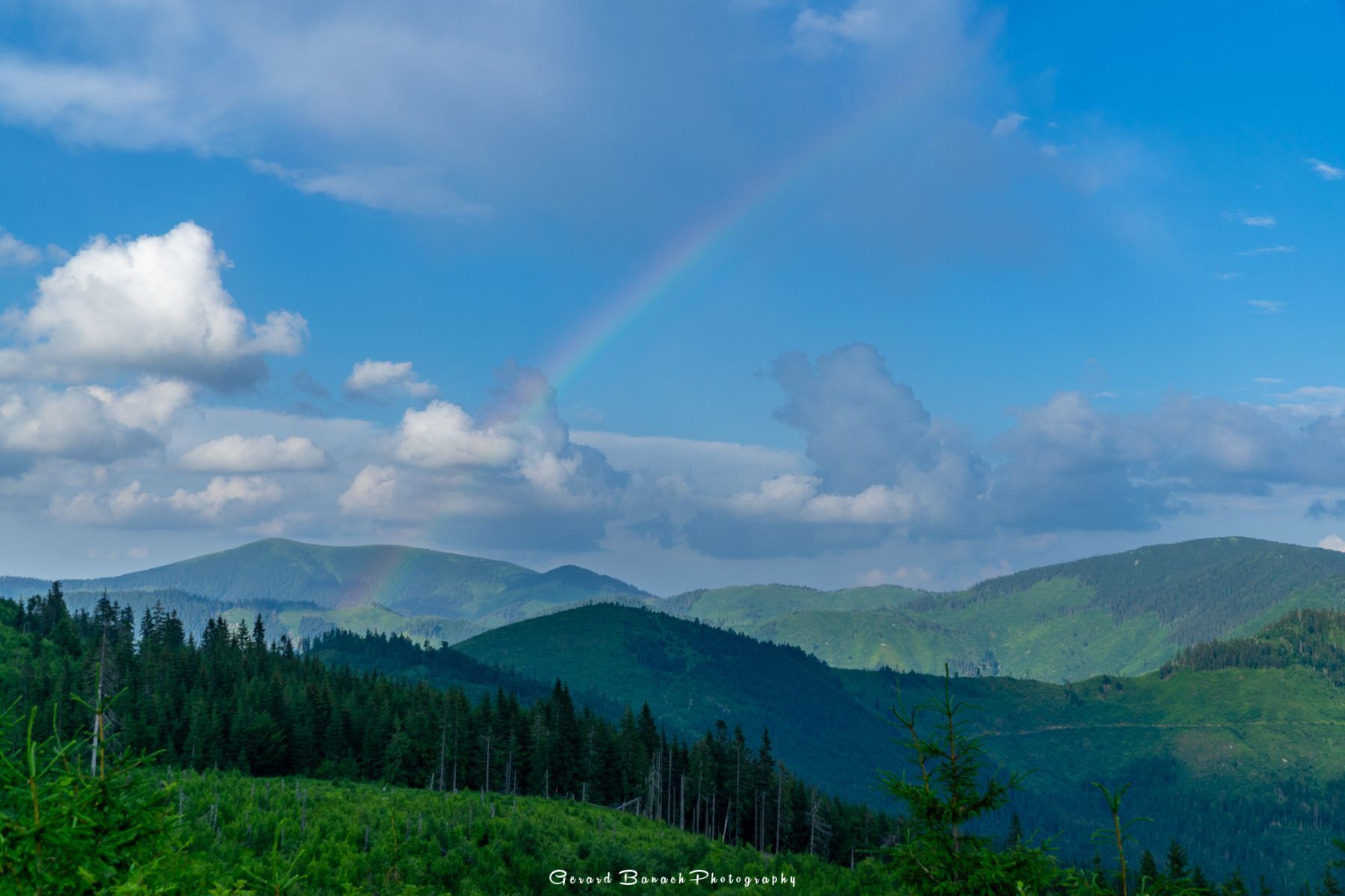 DSC6537-HDR-2