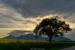 DSC5975-HDR-2