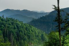 DSC6078-HDR-2