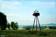 Czerwiec 2017 - Teryho Chata - Czerwona Ławka (Słowacja)