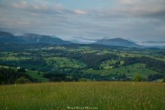 Czerwiec 2019 - Chochołowska - Wołowiec - Chochołowska