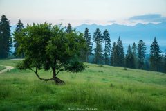 Czerwiec 2020 - Tatry i Babia z Lipnicy Wielkiej