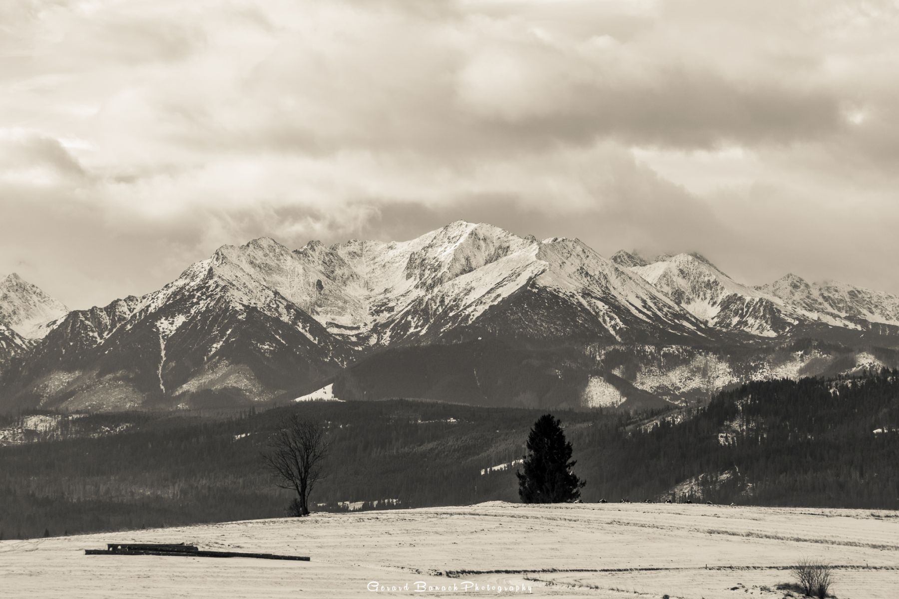 DSC4148-HDR-2