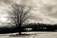 DSC4115-HDR-2