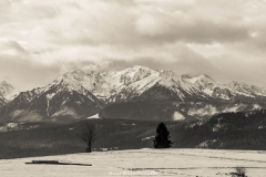 DSC4148-HDR-2