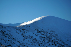 Grudzień 2015 - Grześ - Rakoń