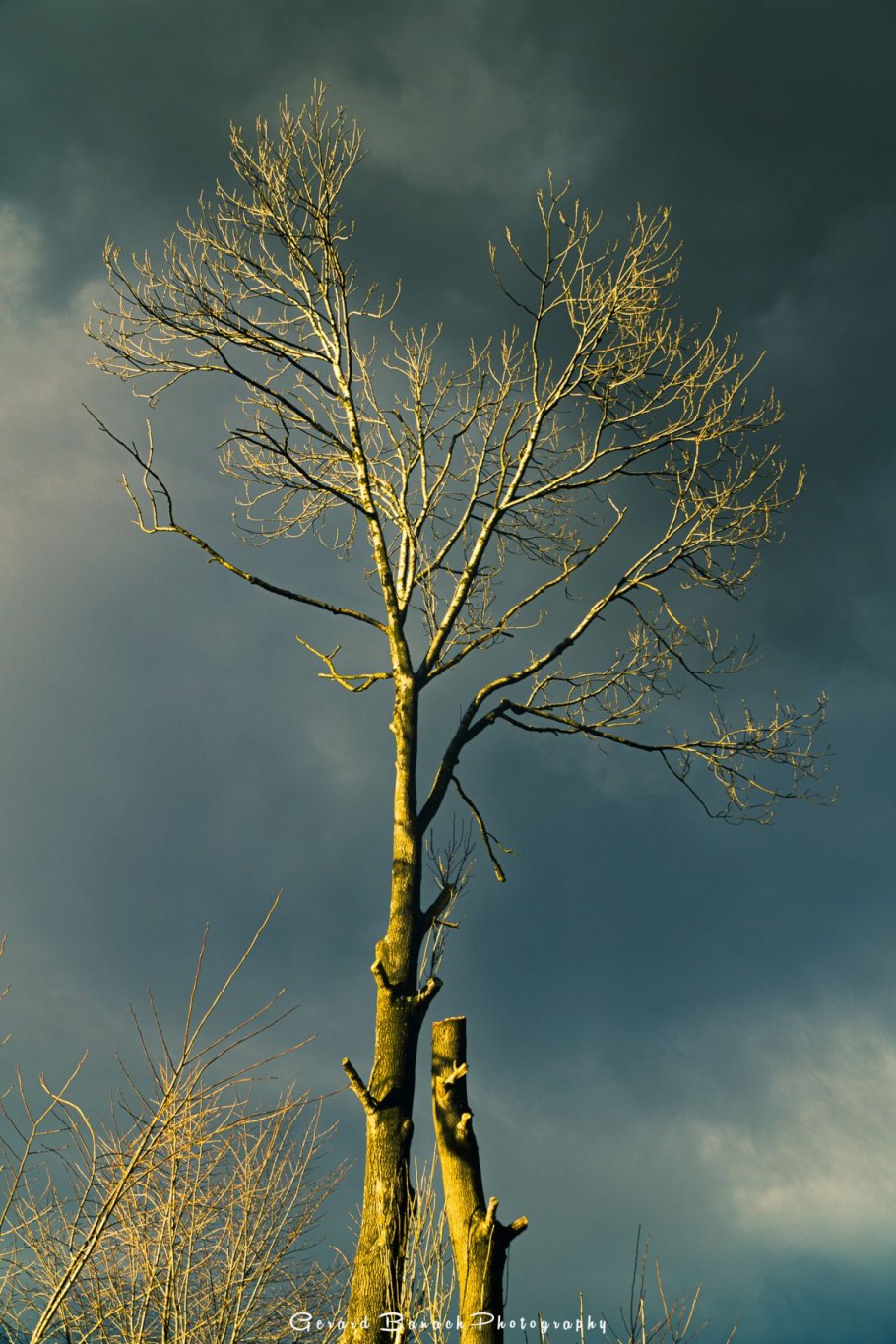 DSC2178-HDR-2