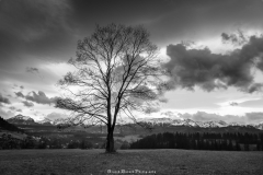 DSC2012-HDR-BW-2