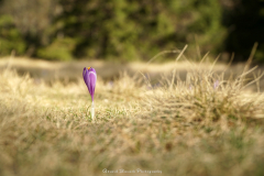 Kwiecień 2018 - Kuźnice - Polana Kondratowa - Giewont - Kopa Kondracka - Kasprowy Wierch - Kuźnice
