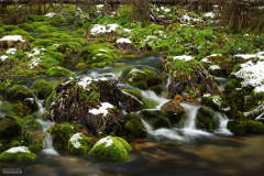 Listopad 2016 - Kościeliska spacerkiem