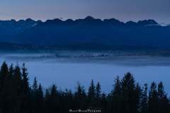 Listopad 2020 - Litwinka 