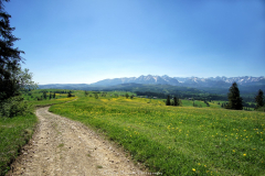 Maj 2018 - Rzepiska