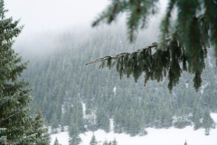 Marzec 2016 - Przełęcz Kondradzka