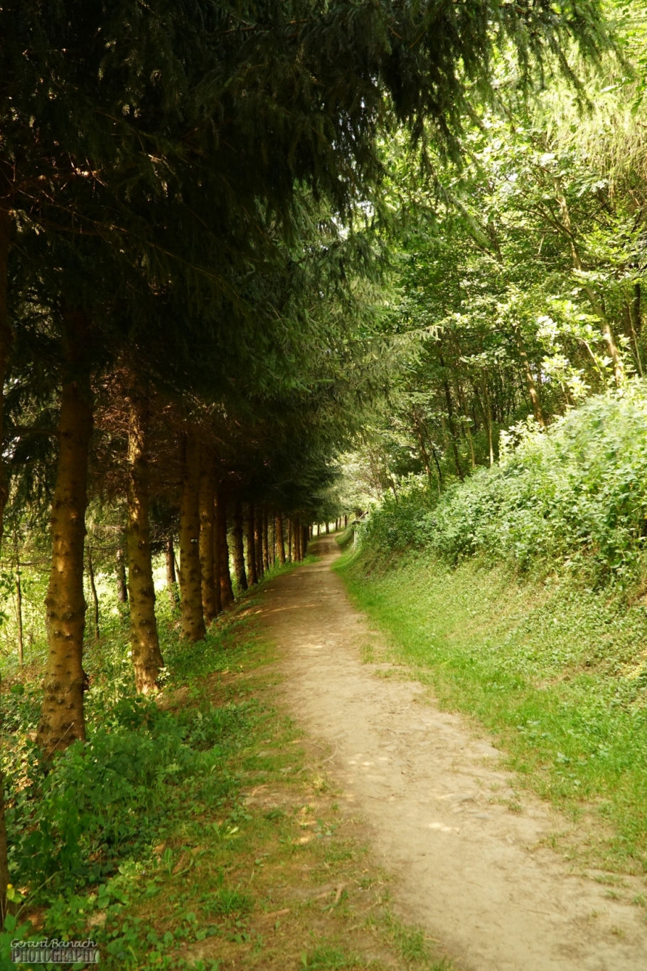35