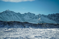DSC5098-2
