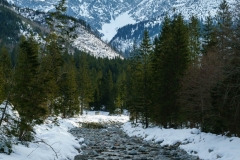 DSC5208-HDR-2